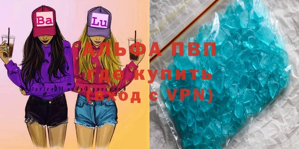 прущие грибы Каменногорск