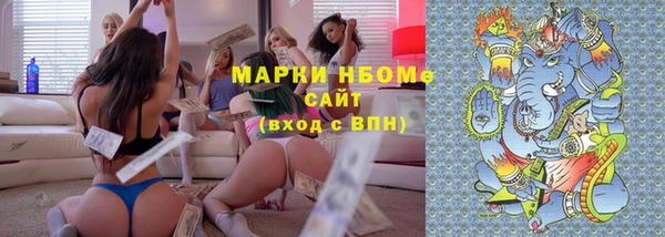 прущие грибы Каменногорск