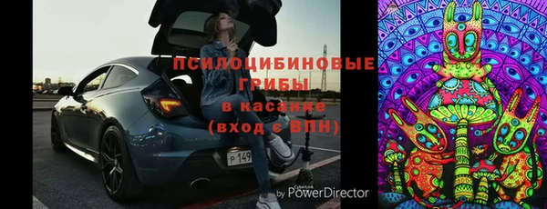 мдпв Семёнов