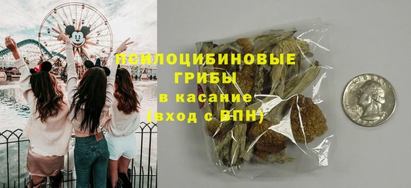 spice Касимов